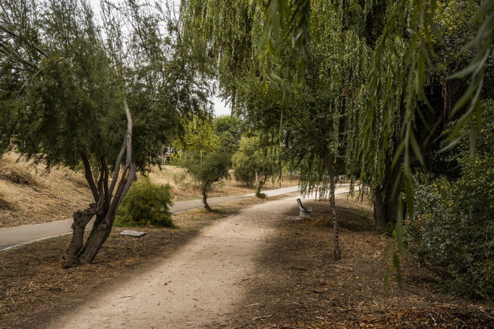 paseo fluvial manzanares